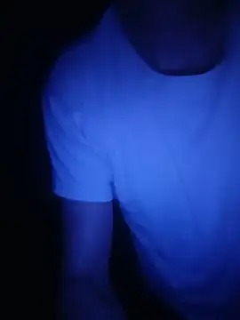 TipMeStripMe22cmPOV webcam