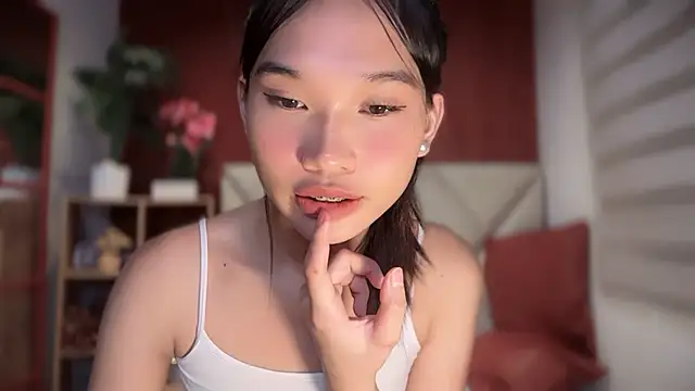 universal_cutie webcam