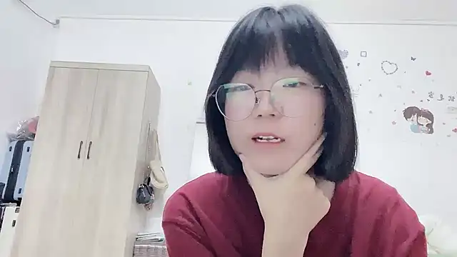 Belle-LL webcam