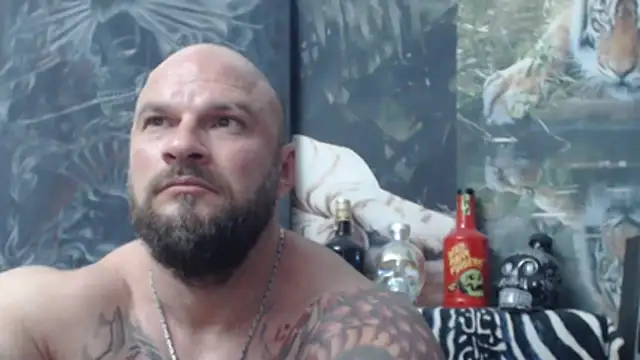 viking_30 webcam