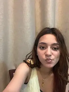 Lilywant webcam