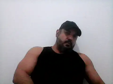 stallony webcam