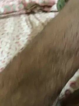 cockhornyjj webcam