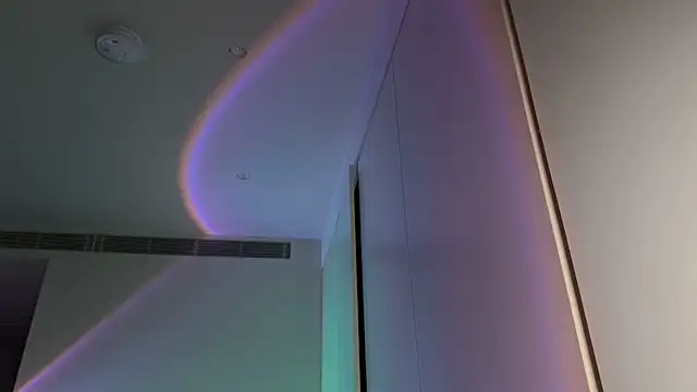 _vixenp webcam