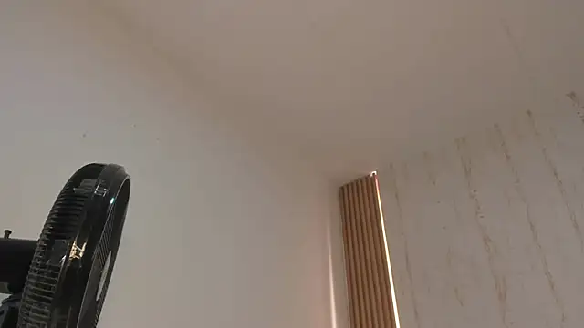 two_milkyway webcam