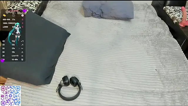 Veldenga webcam