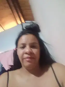 lapatronav2026 webcam