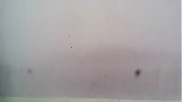 HotyRose webcam