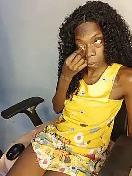nzanizy webcam