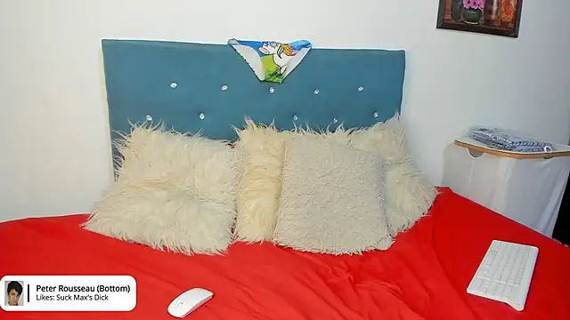 Max_and_Peter webcam