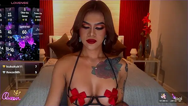 StellaStrong30 webcam