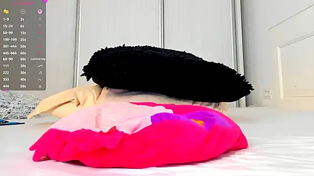 Aidasina webcam