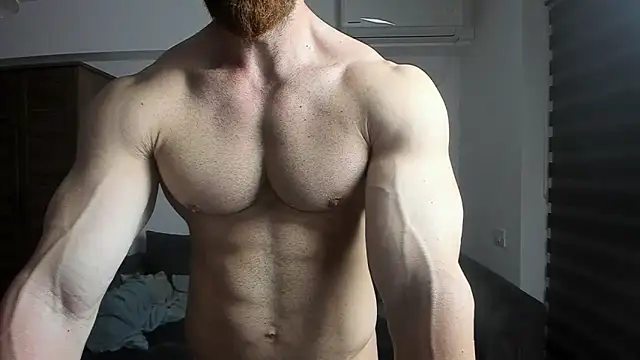 ZkkBlitz webcam