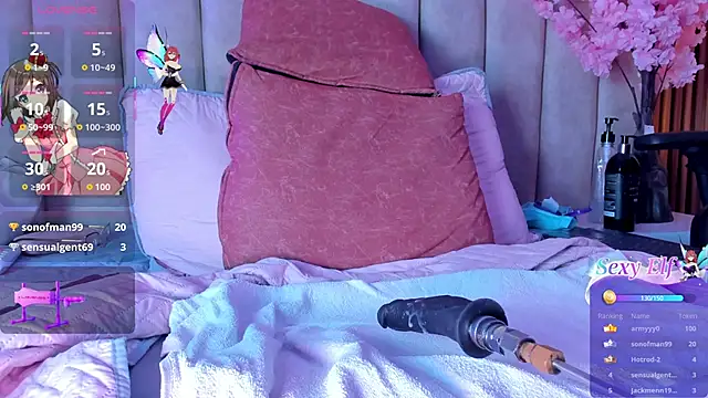 LizSheibaum webcam