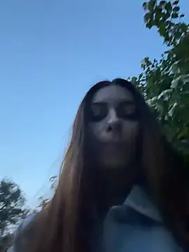 CrystalClean webcam