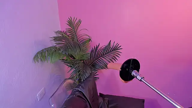 Lia_owenss webcam