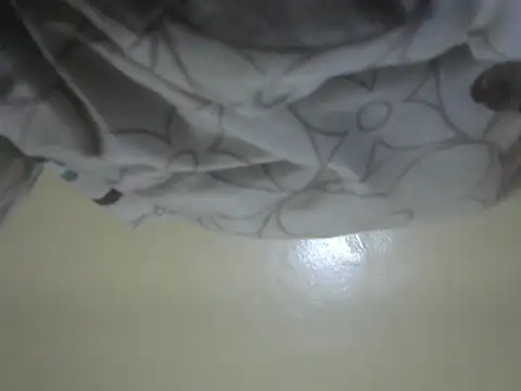 Bigmoodbby webcam