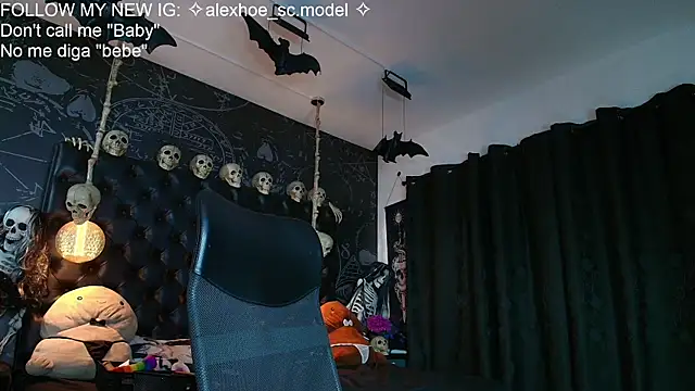 AlexHoe_ webcam