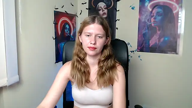 StellaCRL webcam