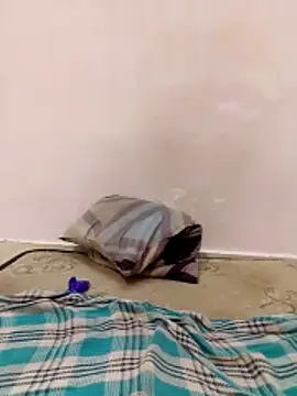 nikkyguddi webcam