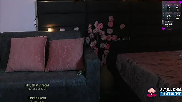 kathieandpovcock1 webcam