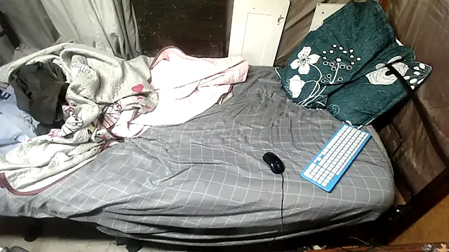 Camodick webcam