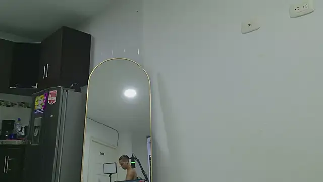 grey___27 webcam