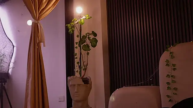 soidai_miiu webcam