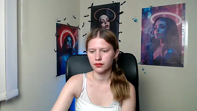 StellaCRL webcam