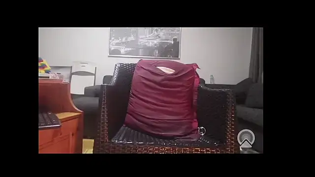 Tyyson03 webcam