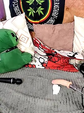 MeowMota_ webcam