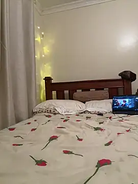 K_swan webcam