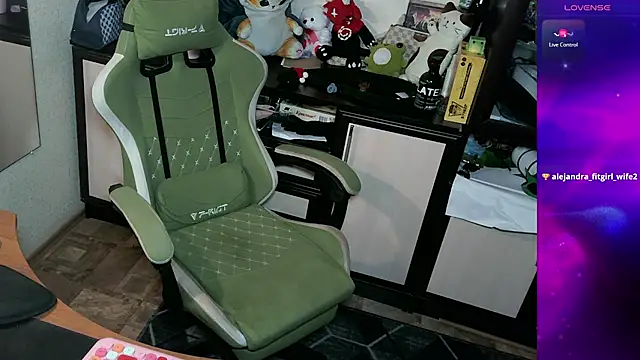 LeoGuessMe webcam