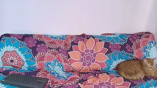 Nikki__uwu live cam on StripChat