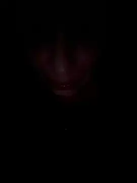 MARILYNMADELENAKOVANOVA webcam