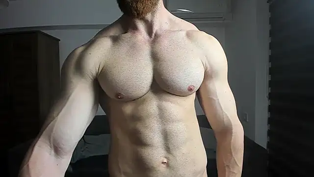 ZkkBlitz webcam