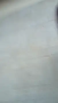 Alejandra_N webcam