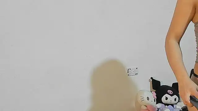 Eirlysx webcam