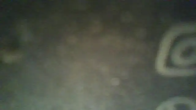laurahot696969 webcam