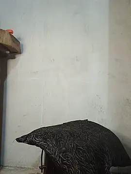 Tequilamaster webcam
