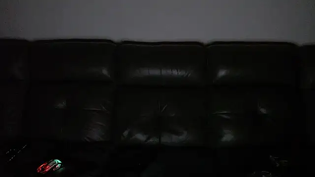CrazyDom1 webcam