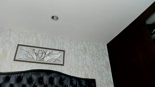 Lander_Cruz webcam