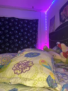 terra_1111 webcam