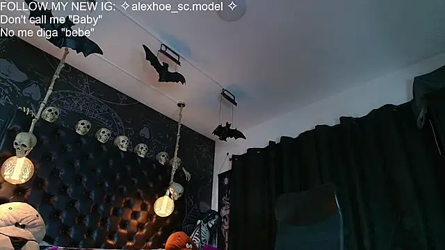 AlexHoe_ webcam