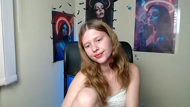 StellaCRL webcam