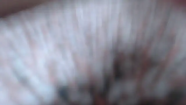 CRIYSTINA36 webcam