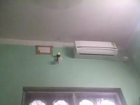 ssamit0808 webcam