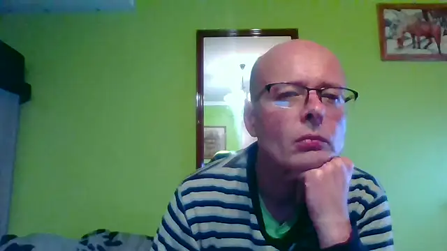 Tiger202441 webcam