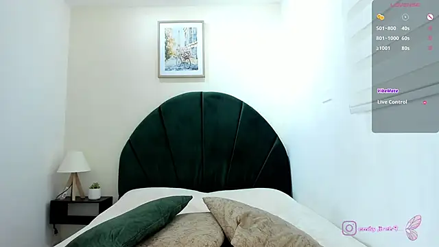 _EmilyJireh_ webcam
