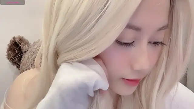-Cinderella- webcam